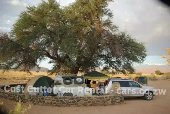 Picture of Nissan X Trails T30s (4X4 SUVs), why pay more? From